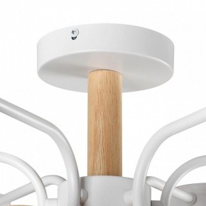 Люстра на штанге Lumion Rondo 8231/6C в Добрянке - dobryanka.mebel24.online | фото 8