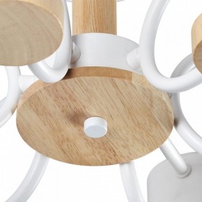 Люстра на штанге Lumion Rondo 8231/6C в Добрянке - dobryanka.mebel24.online | фото 9