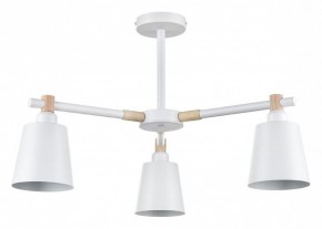 Люстра на штанге Lumion Rosalina 8097/3C в Добрянке - dobryanka.mebel24.online | фото
