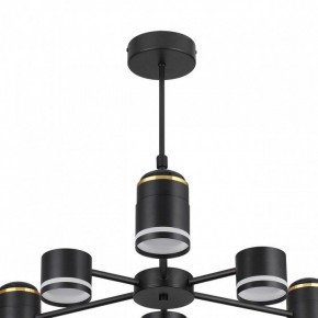 Люстра на штанге Lumion Virsava 8234/6C в Добрянке - dobryanka.mebel24.online | фото 5