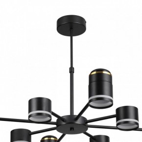 Люстра на штанге Lumion Virsava 8234/8C в Добрянке - dobryanka.mebel24.online | фото 5