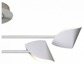 Люстра на штанге Mantra Capuccina 7574 в Добрянке - dobryanka.mebel24.online | фото 3