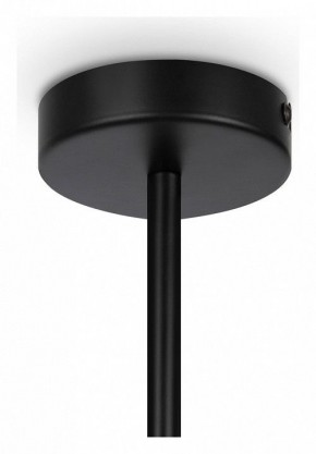Люстра на штанге Maytoni Memory MOD177PL-04B в Добрянке - dobryanka.mebel24.online | фото 4
