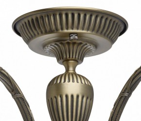 Люстра на штанге MW-Light Аманда 6 481011805 в Добрянке - dobryanka.mebel24.online | фото 10