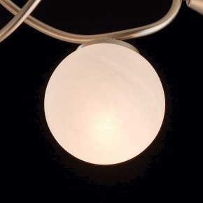Люстра на штанге MW-Light Оливия 5 306012709 в Добрянке - dobryanka.mebel24.online | фото 6