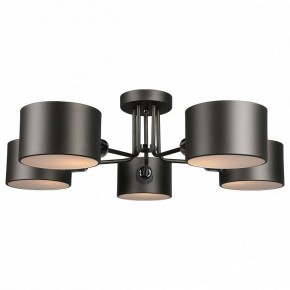Люстра на штанге Omnilux Lisera OML-54507-05 в Добрянке - dobryanka.mebel24.online | фото 2