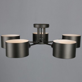 Люстра на штанге Omnilux Lisera OML-54507-05 в Добрянке - dobryanka.mebel24.online | фото 5