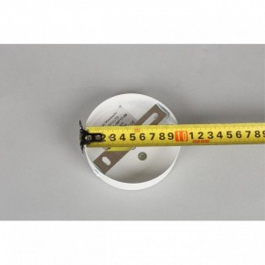 Люстра на штанге Omnilux Mearino OML-29717-08 в Добрянке - dobryanka.mebel24.online | фото 10