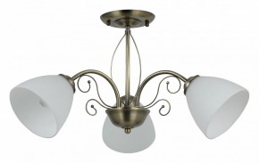 Люстра на штанге Rivoli Sue Б0060985 в Добрянке - dobryanka.mebel24.online | фото