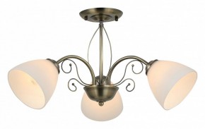 Люстра на штанге Rivoli Sue Б0060985 в Добрянке - dobryanka.mebel24.online | фото 2