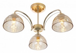 Люстра на штанге Rivoli Terri Б0060988 в Добрянке - dobryanka.mebel24.online | фото