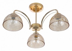 Люстра на штанге Rivoli Terri Б0060988 в Добрянке - dobryanka.mebel24.online | фото 2
