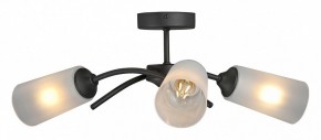 Люстра на штанге Vitaluce V2850 V2850-1/3PL в Добрянке - dobryanka.mebel24.online | фото