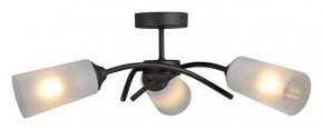 Люстра на штанге Vitaluce V2850 V2850-1/3PL в Добрянке - dobryanka.mebel24.online | фото 3