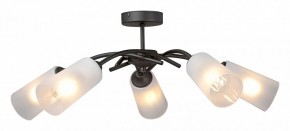 Люстра на штанге Vitaluce V2850 V2850-1/5PL в Добрянке - dobryanka.mebel24.online | фото