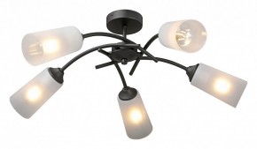 Люстра на штанге Vitaluce V2850 V2850-1/5PL в Добрянке - dobryanka.mebel24.online | фото 2