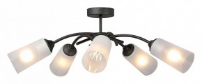 Люстра на штанге Vitaluce V2850 V2850-1/5PL в Добрянке - dobryanka.mebel24.online | фото 3