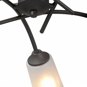 Люстра на штанге Vitaluce V2850 V2850-1/5PL в Добрянке - dobryanka.mebel24.online | фото 6