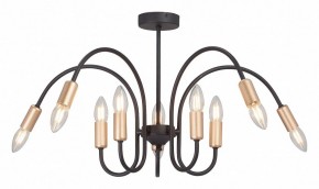 Люстра на штанге Vitaluce V3026 V3026-1/10PL в Добрянке - dobryanka.mebel24.online | фото 2