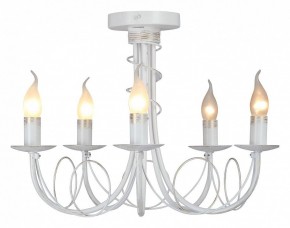 Люстра на штанге Vitaluce V3035 V3035-0/5PL в Добрянке - dobryanka.mebel24.online | фото 2