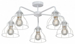 Люстра на штанге Vitaluce V3102 V3102-0/5PL в Добрянке - dobryanka.mebel24.online | фото
