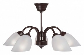 Люстра на штанге Vitaluce V3335 V3335-7/5PL в Добрянке - dobryanka.mebel24.online | фото