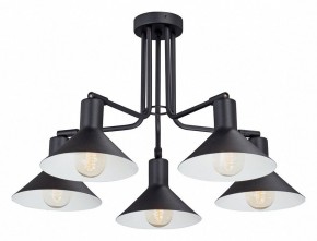 Люстра на штанге Vitaluce V4809 V4809-1/5PL в Добрянке - dobryanka.mebel24.online | фото