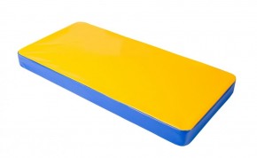 Мат гимнастический 1х0,5х0,08м цв. синий-желтый в Добрянке - dobryanka.mebel24.online | фото 1