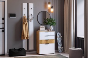 МЕБЕЛЬСОН К21 Прихожая в Добрянке - dobryanka.mebel24.online | фото 1