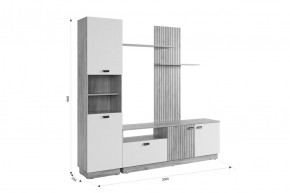 МОДИ Гостиная (модульная) белое дерево в Добрянке - dobryanka.mebel24.online | фото 2