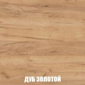 МСП-1 Шкаф 2-х створчатый (Дуб Золотой/Камень темный) в Добрянке - dobryanka.mebel24.online | фото 4