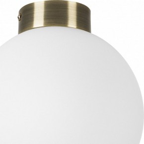 Накладной светильник Lightstar Globo 812021 в Добрянке - dobryanka.mebel24.online | фото 3