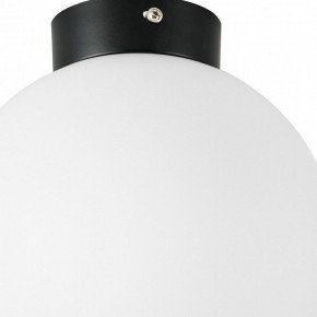 Накладной светильник Lightstar Globo 812027 в Добрянке - dobryanka.mebel24.online | фото 2