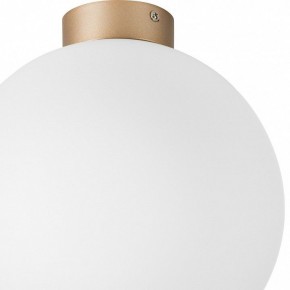 Накладной светильник Lightstar Globo 812033 в Добрянке - dobryanka.mebel24.online | фото 2
