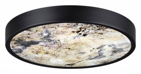 Накладной светильник Odeon Light Bergi 5064/30L в Добрянке - dobryanka.mebel24.online | фото 4