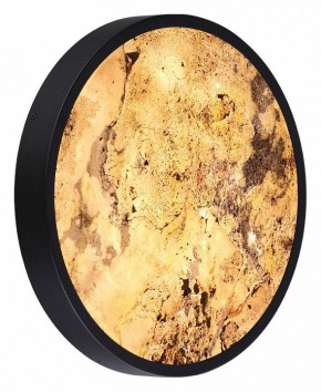 Накладной светильник Odeon Light Bergi 5064/30L в Добрянке - dobryanka.mebel24.online | фото 5