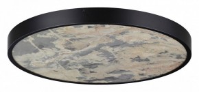 Накладной светильник Odeon Light Bergi 5064/50L в Добрянке - dobryanka.mebel24.online | фото 3
