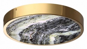 Накладной светильник Odeon Light Bergi 5079/30L в Добрянке - dobryanka.mebel24.online | фото 3