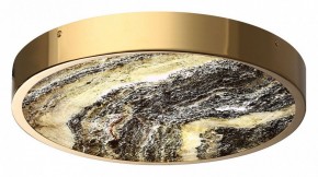 Накладной светильник Odeon Light Bergi 5079/30L в Добрянке - dobryanka.mebel24.online | фото 6
