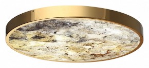 Накладной светильник Odeon Light Bergi 5079/50L в Добрянке - dobryanka.mebel24.online | фото 5