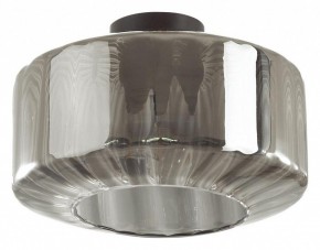 Накладной светильник Odeon Light Binga 4746/1C в Добрянке - dobryanka.mebel24.online | фото 2