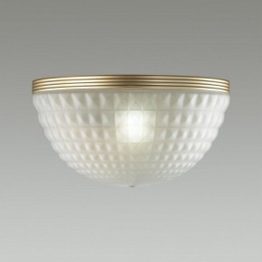 Накладной светильник Odeon Light Malaga 4936/1W в Добрянке - dobryanka.mebel24.online | фото 2