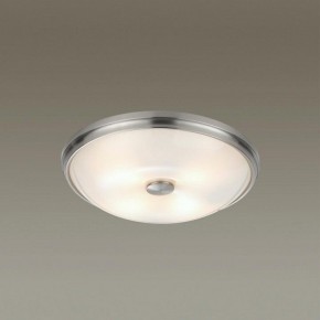 Накладной светильник Odeon Light Pelow 4957/4 в Добрянке - dobryanka.mebel24.online | фото 2