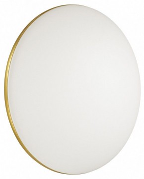 Накладной светильник Sonex Lassa 3043/DL в Добрянке - dobryanka.mebel24.online | фото 4