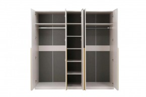 НИКОЛЬ 25 Шкаф 5-ти створчатый в Добрянке - dobryanka.mebel24.online | фото 3