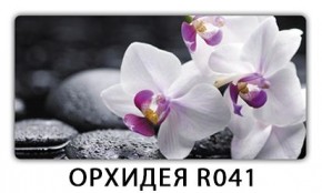 Обеденный раздвижной стол Бриз с фотопечатью Цветы R044 в Добрянке - dobryanka.mebel24.online | фото 14