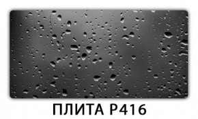 Обеденный стол Паук с фотопечатью узор Плита Р410 в Добрянке - dobryanka.mebel24.online | фото 12