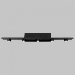 Подсветка для картины Imex VINCENT IL.0040.0050-5 SBK в Добрянке - dobryanka.mebel24.online | фото
