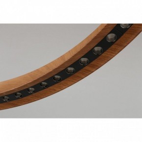 Подвесная люстра Aployt Justyna APL.787.03.75 в Добрянке - dobryanka.mebel24.online | фото 10