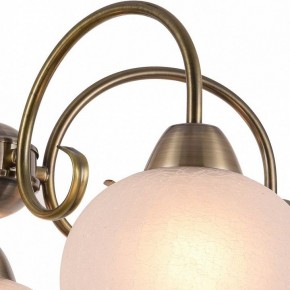 Подвесная люстра Arte Lamp Margo A9317LM-5AB в Добрянке - dobryanka.mebel24.online | фото 3